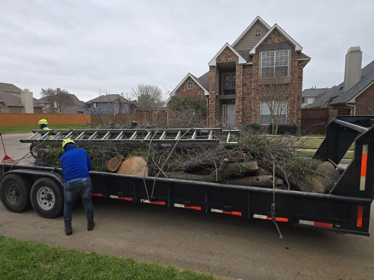 Expert Lot Clearing with proper safety equipment in Chewsville